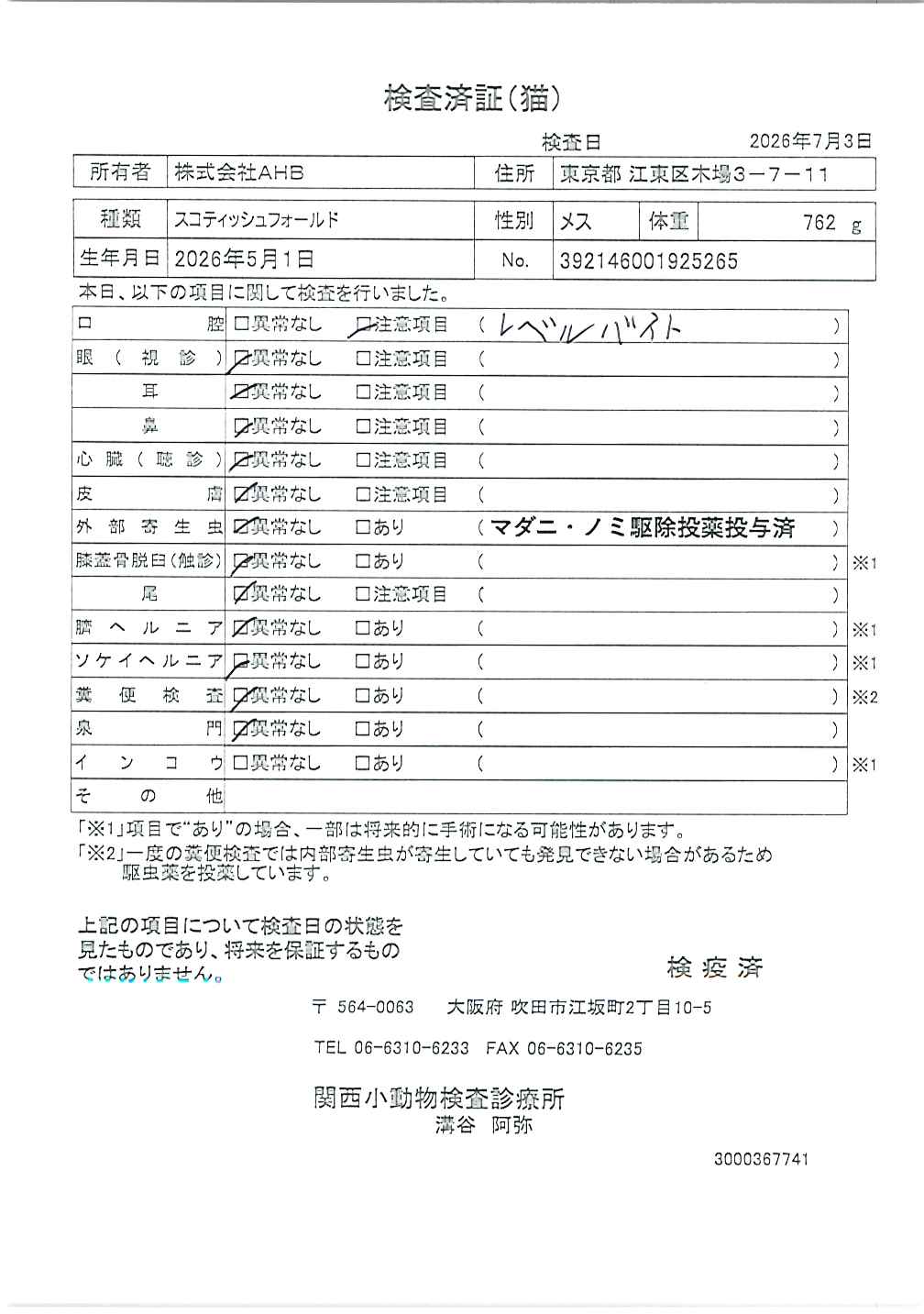 スコティッシュフォールド