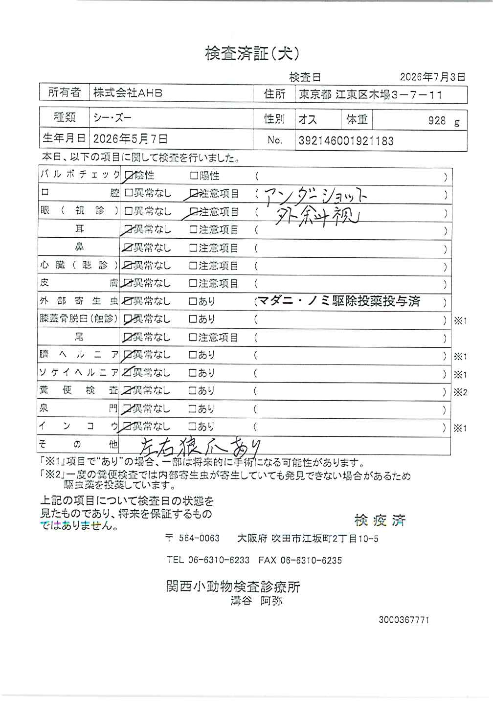 シー・ズー