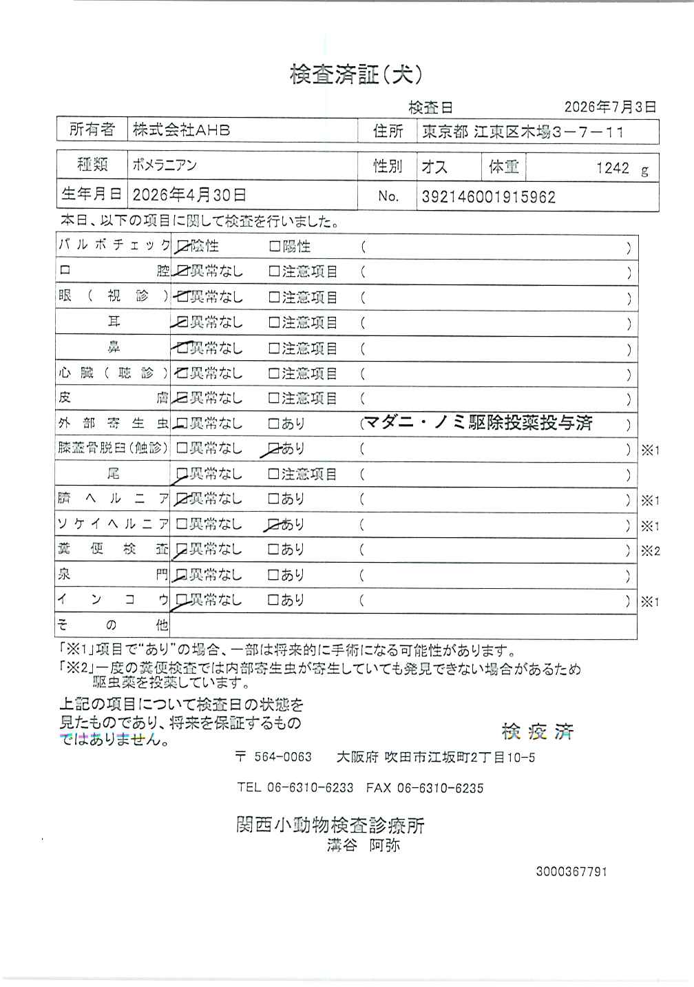 ポメラニアン