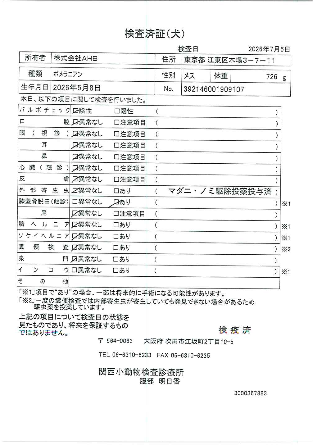 ポメラニアン