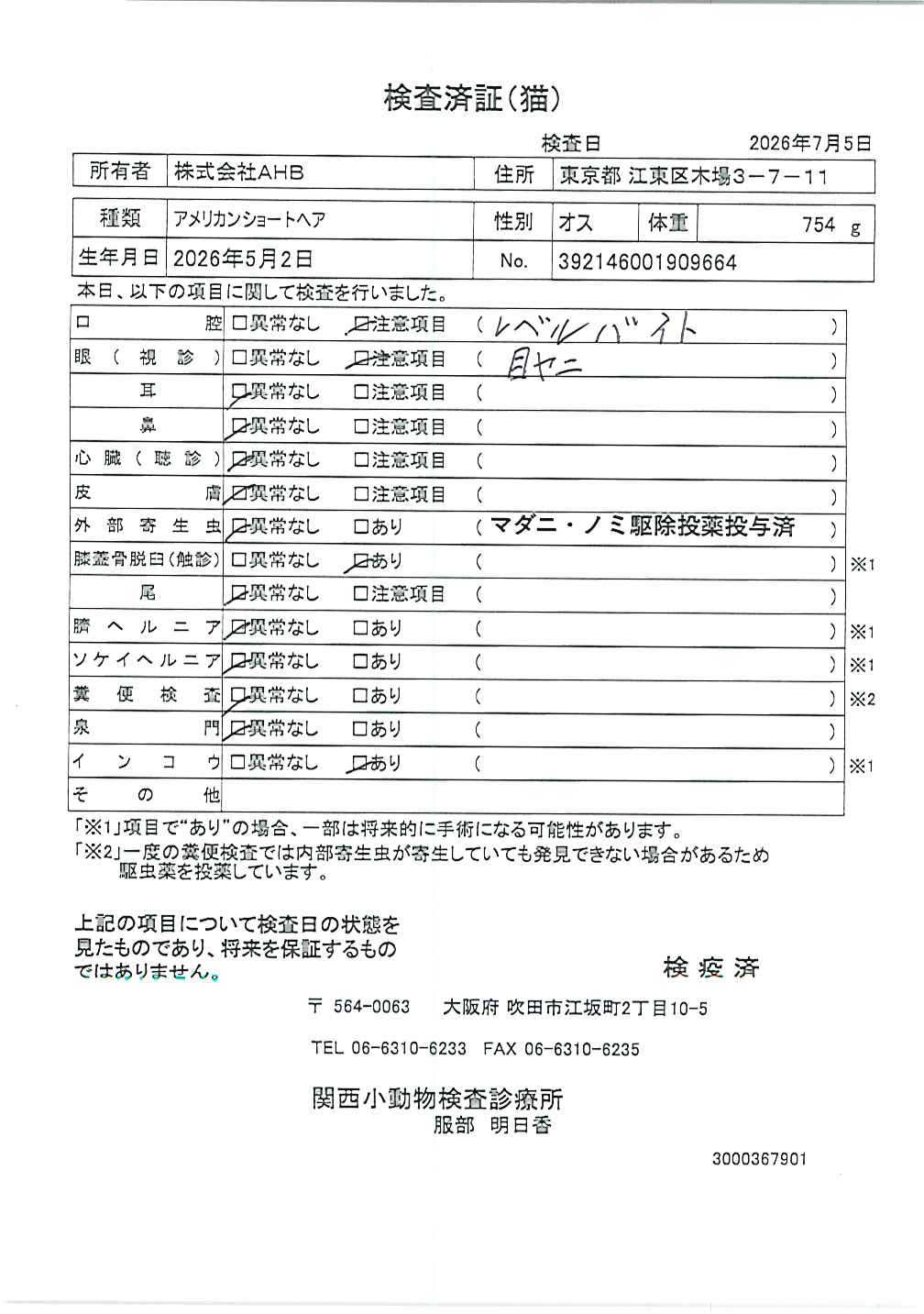 アメリカンショートヘア