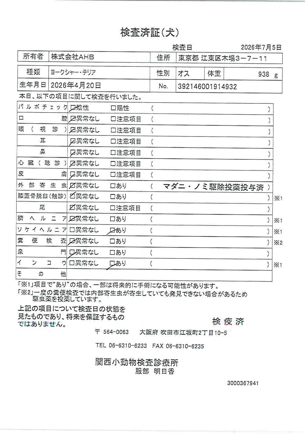 ヨークシャー・テリア