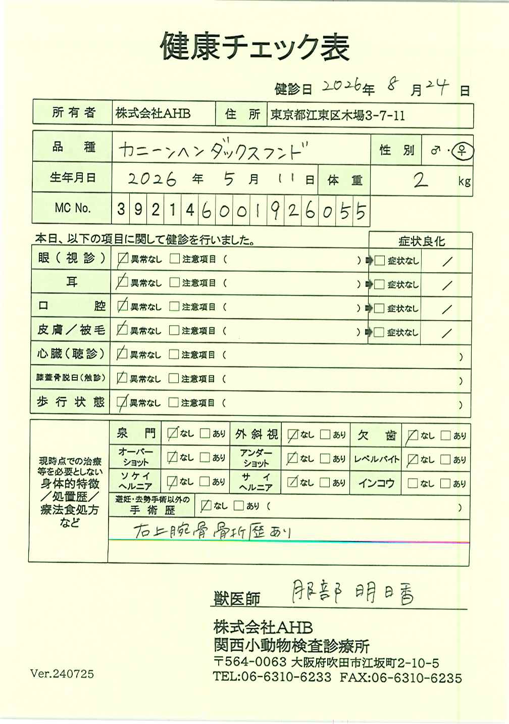 カニーンヘン・ダックスフンド