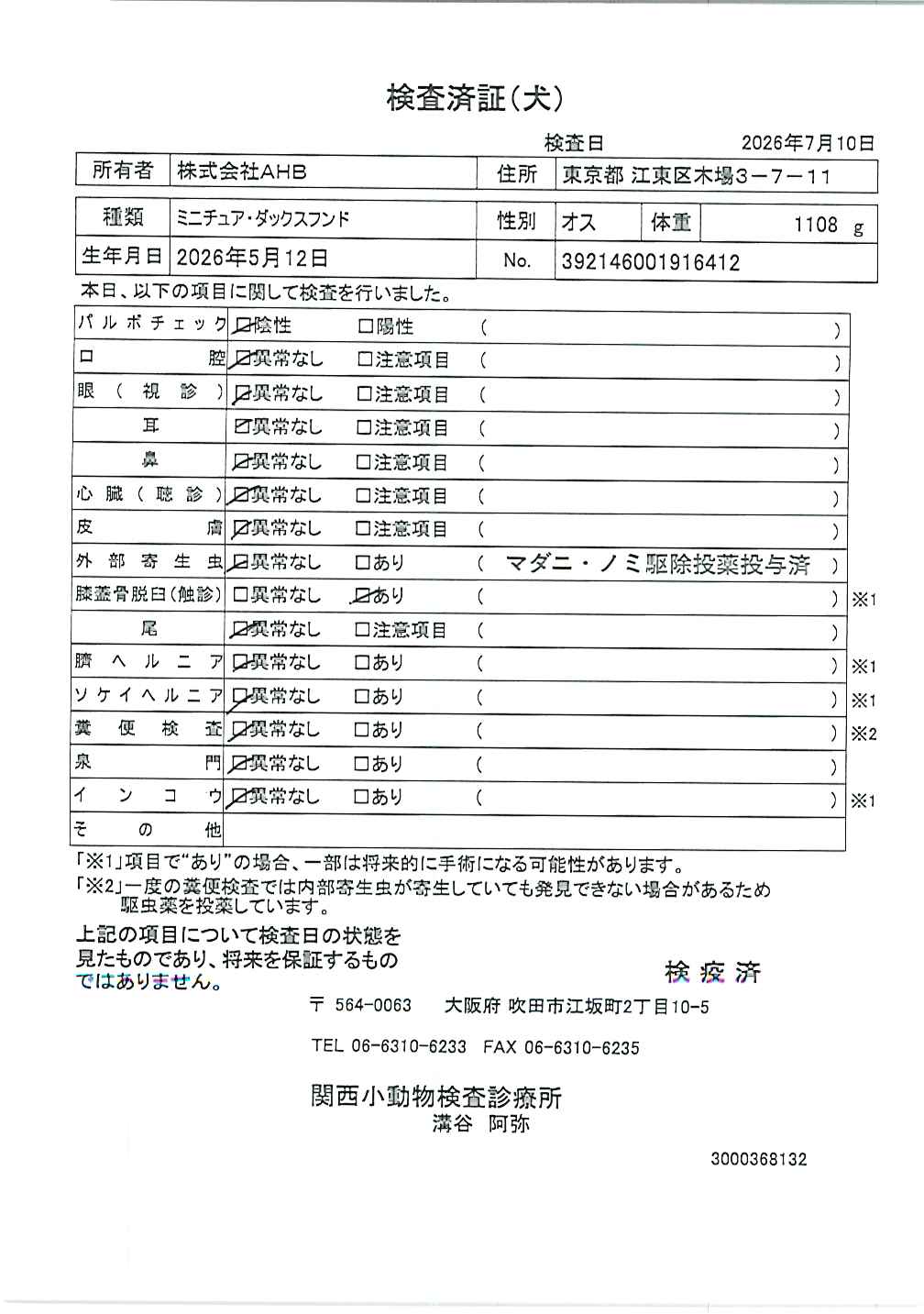ミニチュア・ダックスフンド