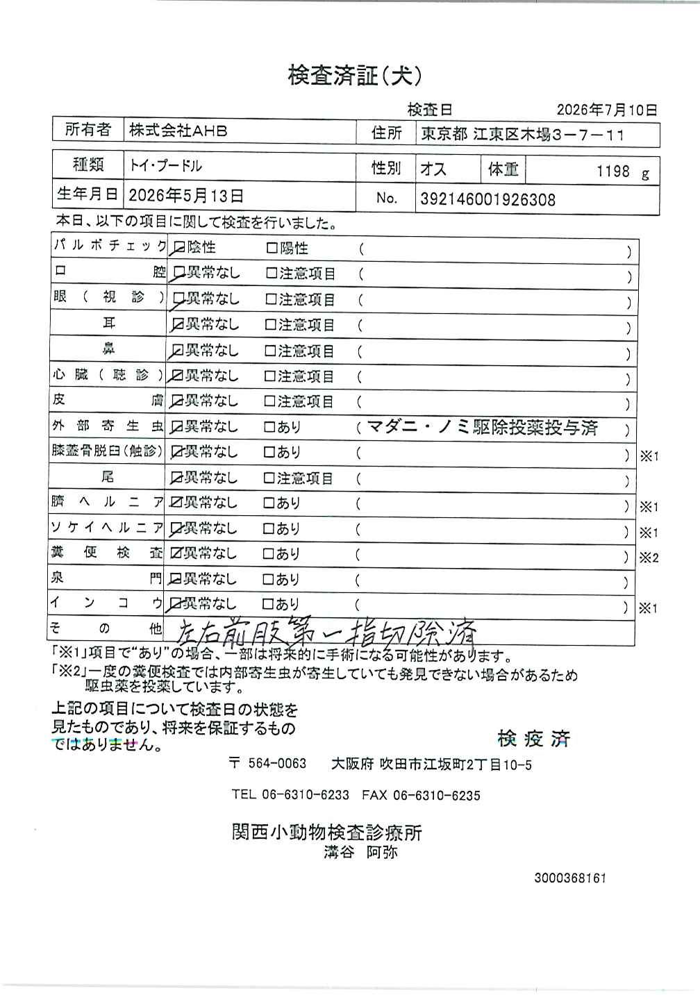 トイ・プードル