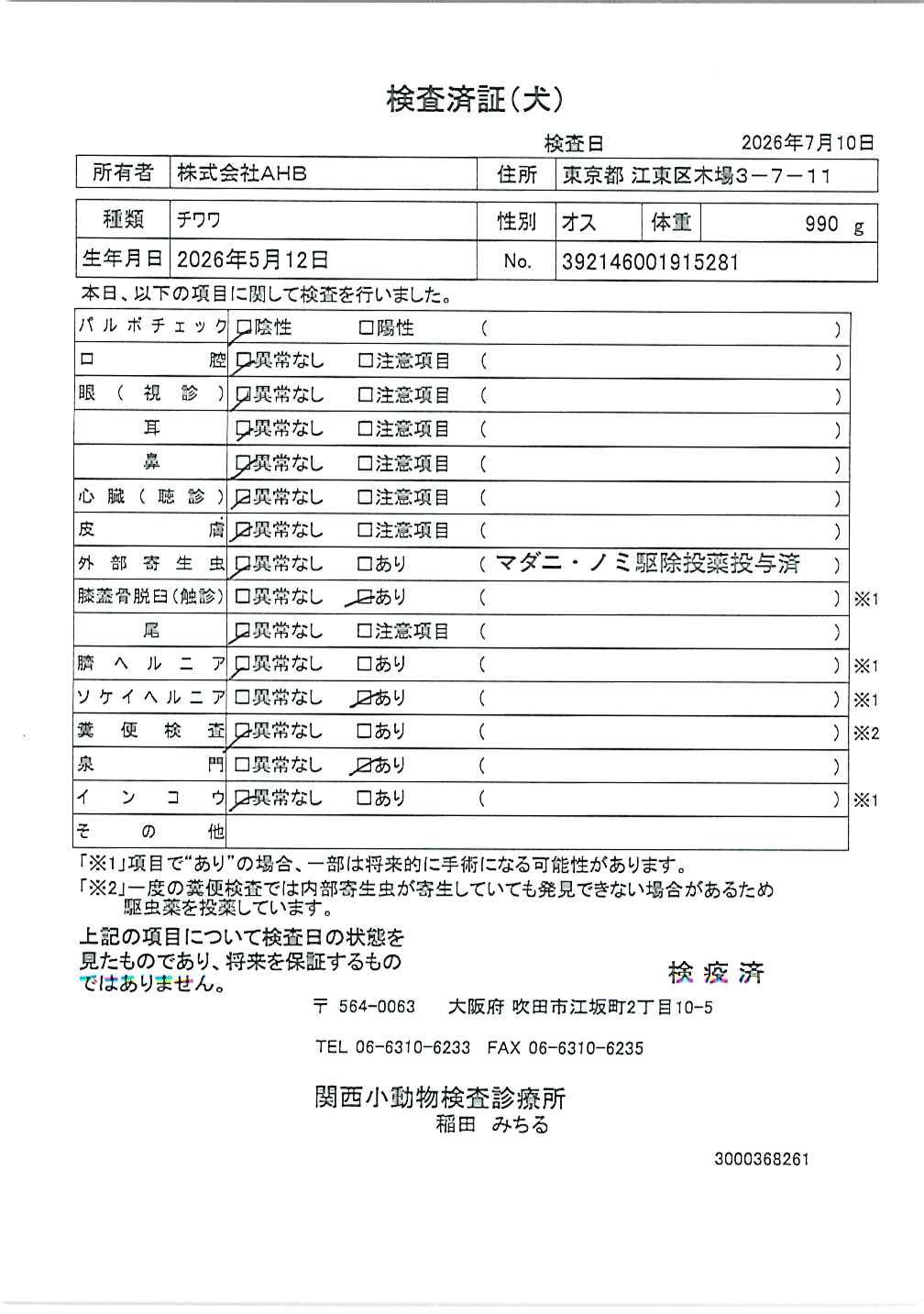 チワワ