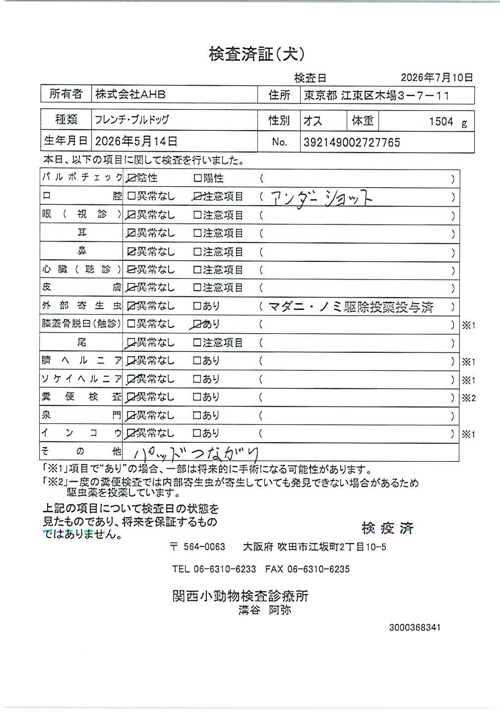 フレンチ・ブルドッグ