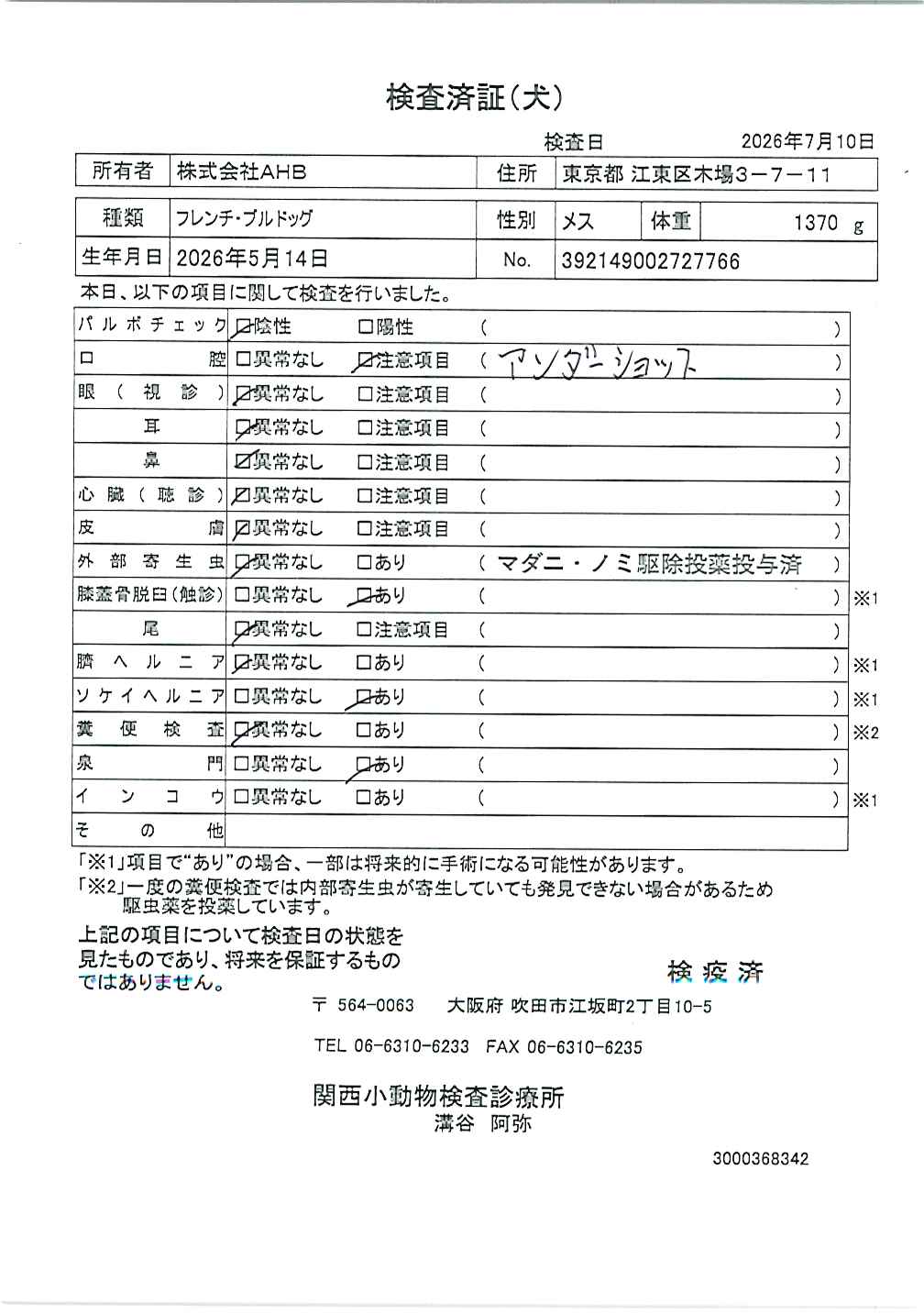 フレンチ・ブルドッグ