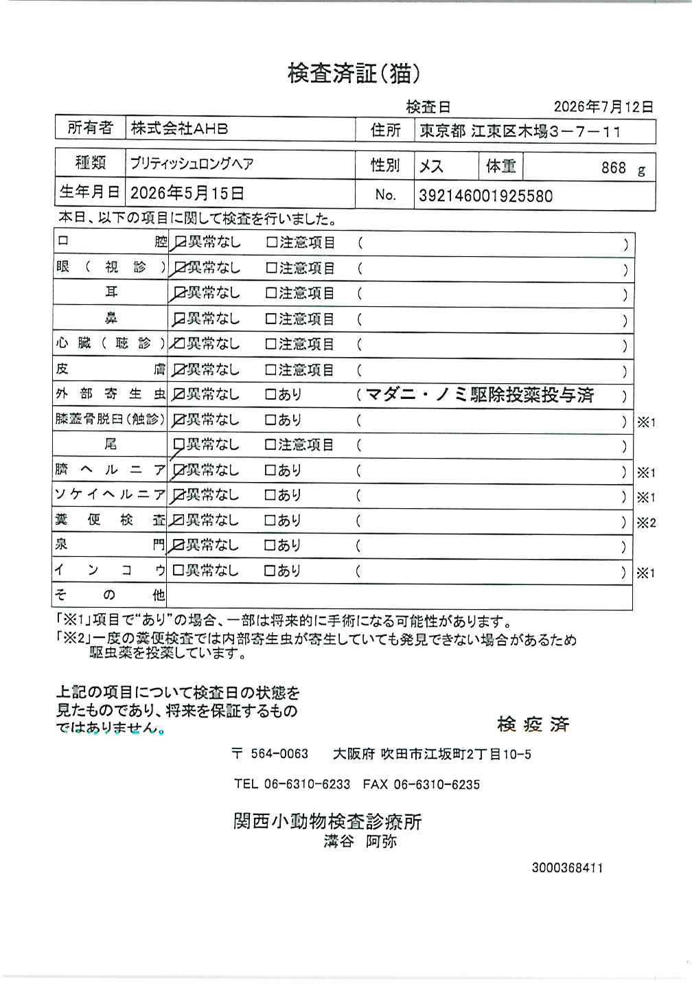 ブリティッシュロングヘア