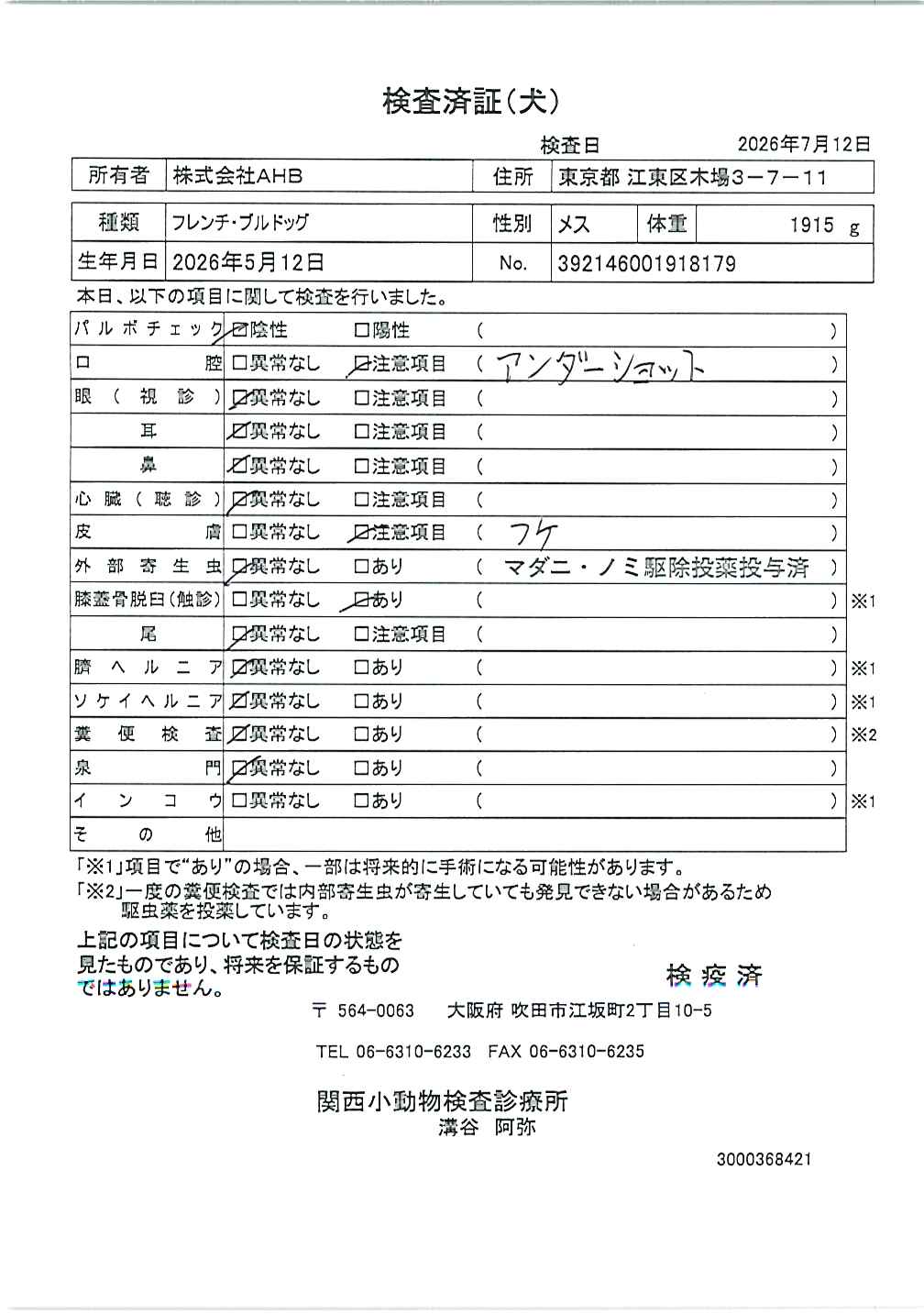 フレンチ・ブルドッグ