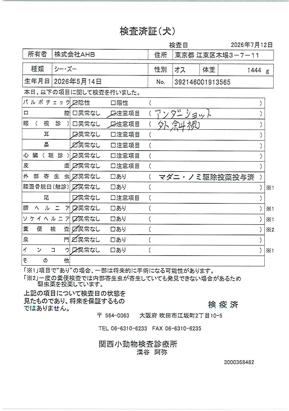 シー・ズー