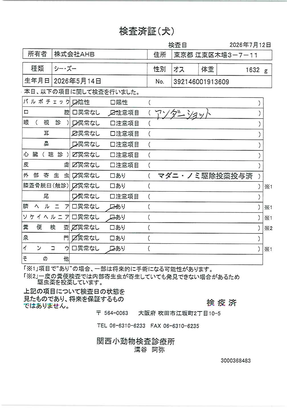 シー・ズー