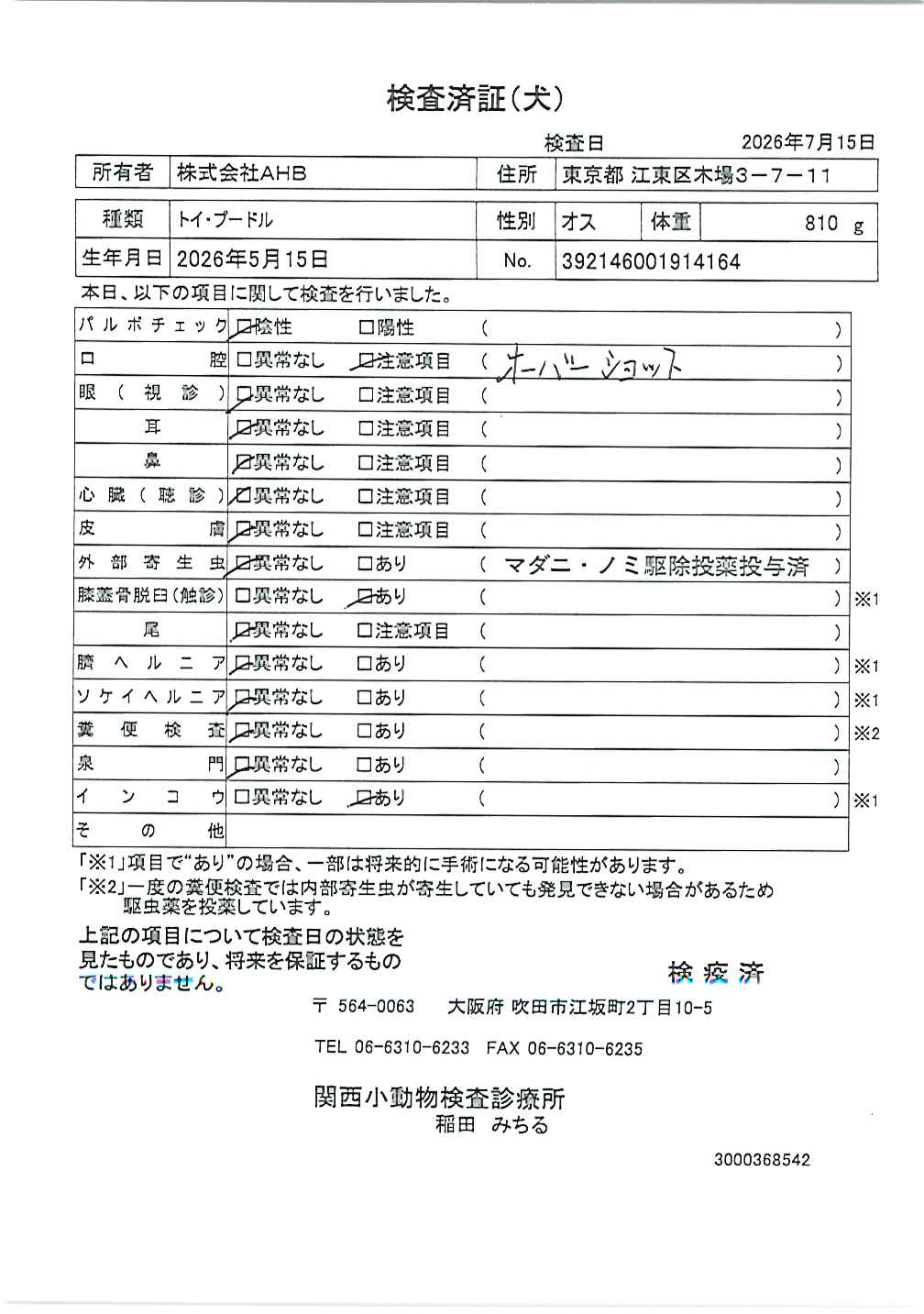 トイ・プードル