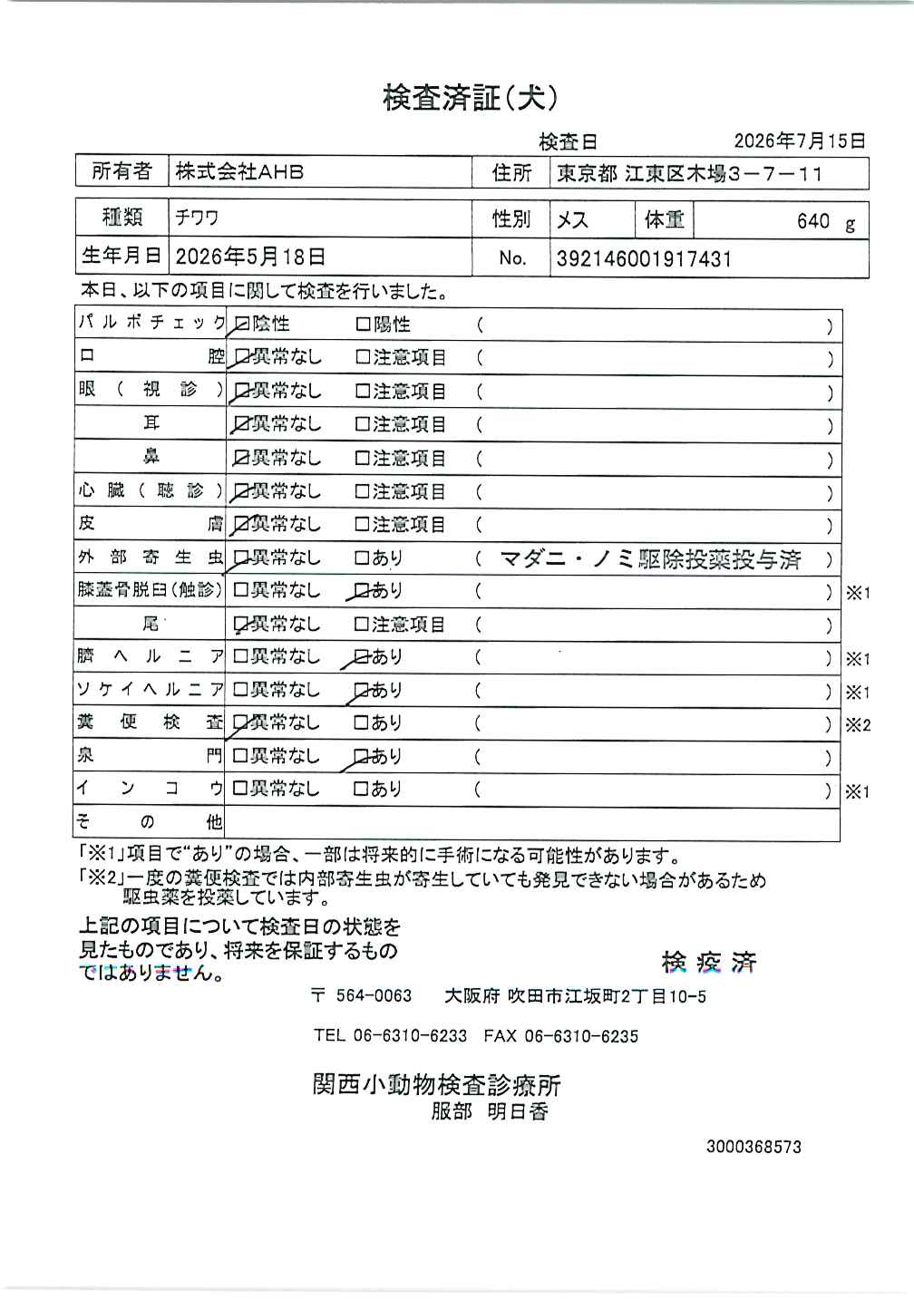 チワワ