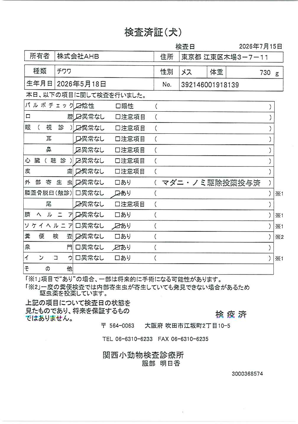 チワワ