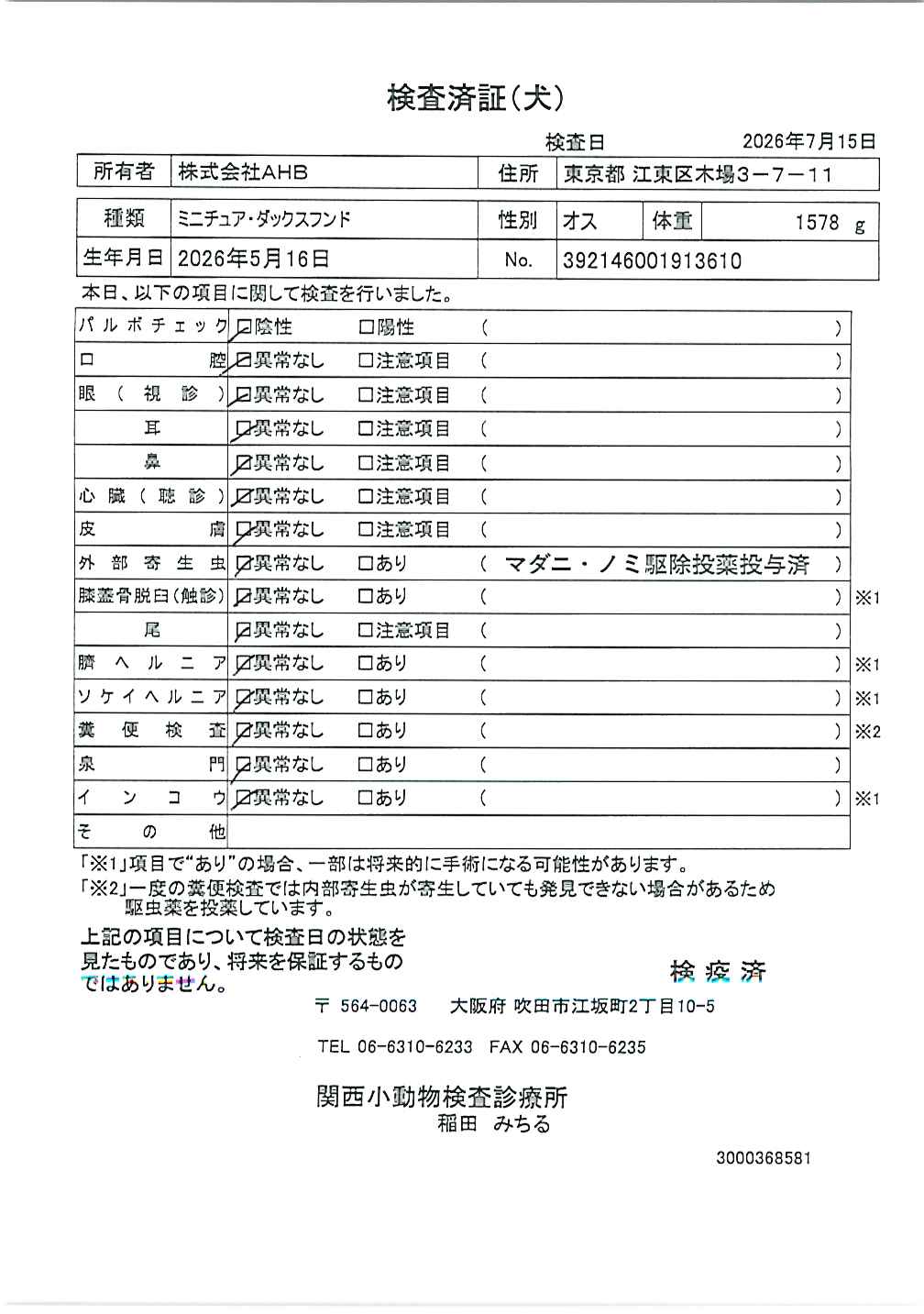 ミニチュア・ダックスフンド