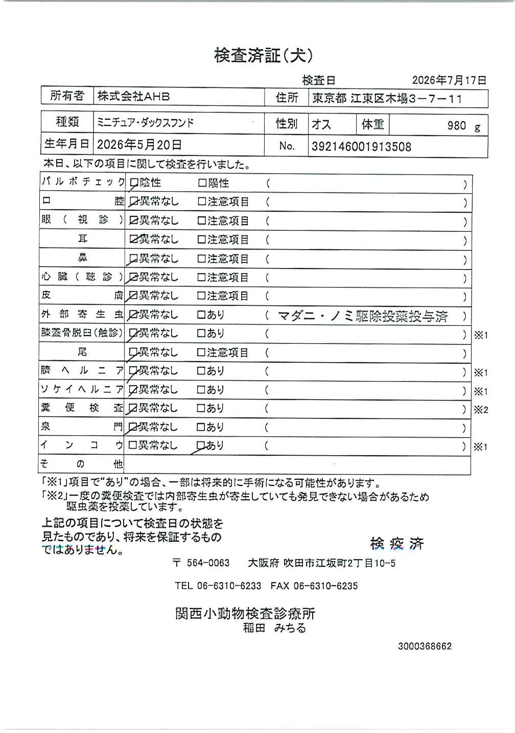 ミニチュア・ダックスフンド