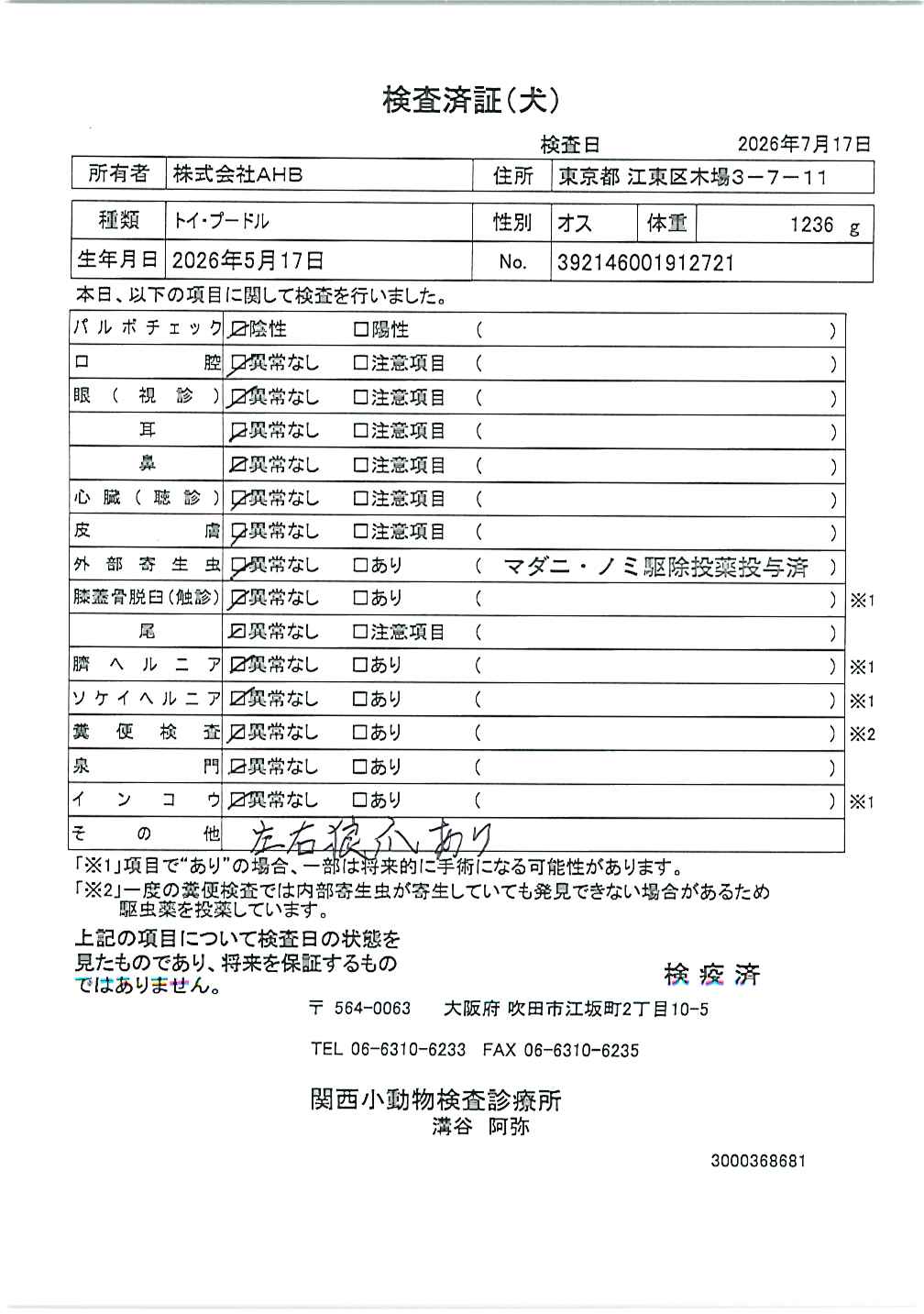 トイ・プードル