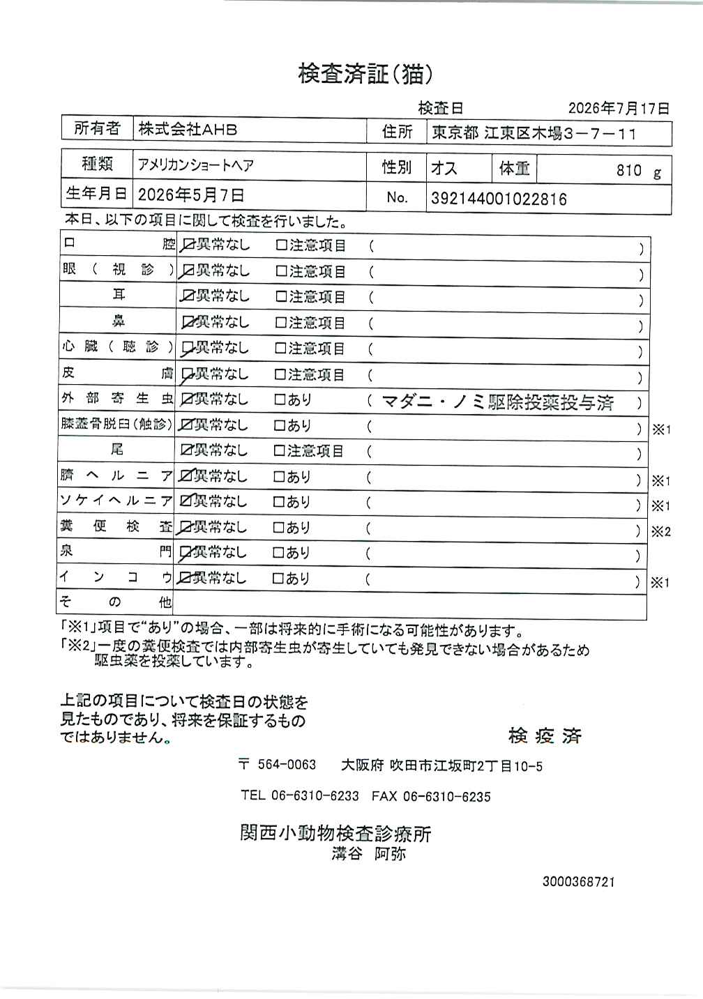 アメリカンショートヘア