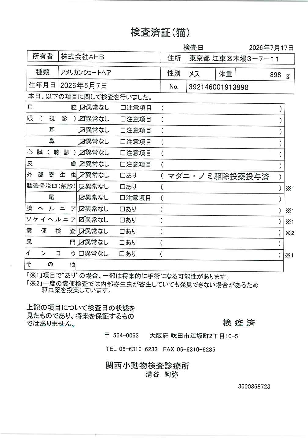 アメリカンショートヘア