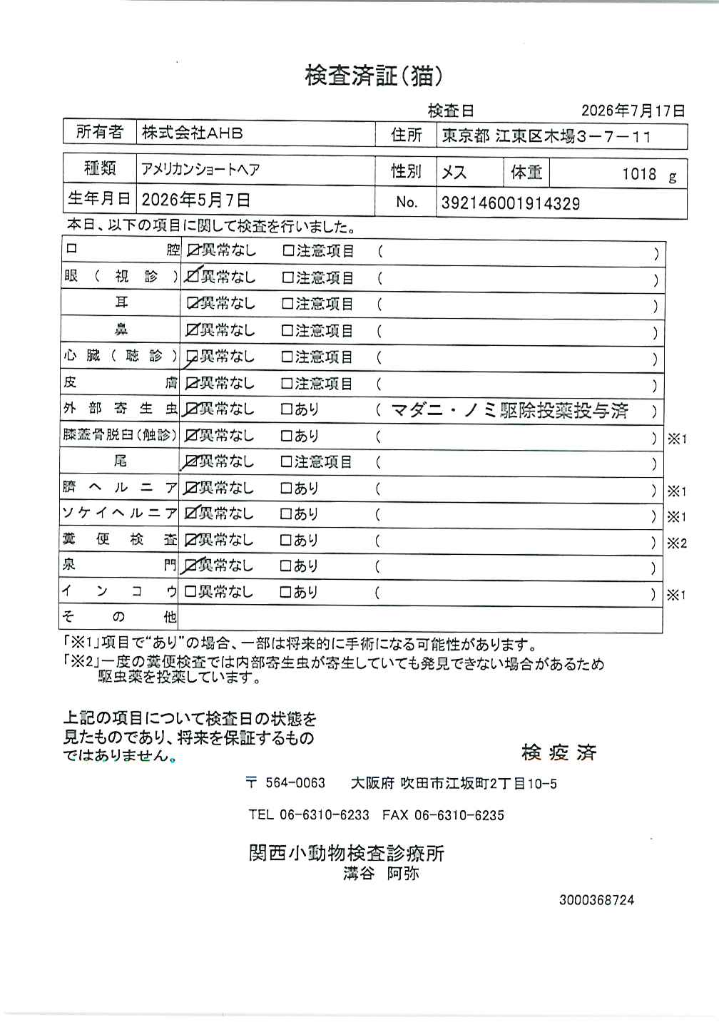 アメリカンショートヘア