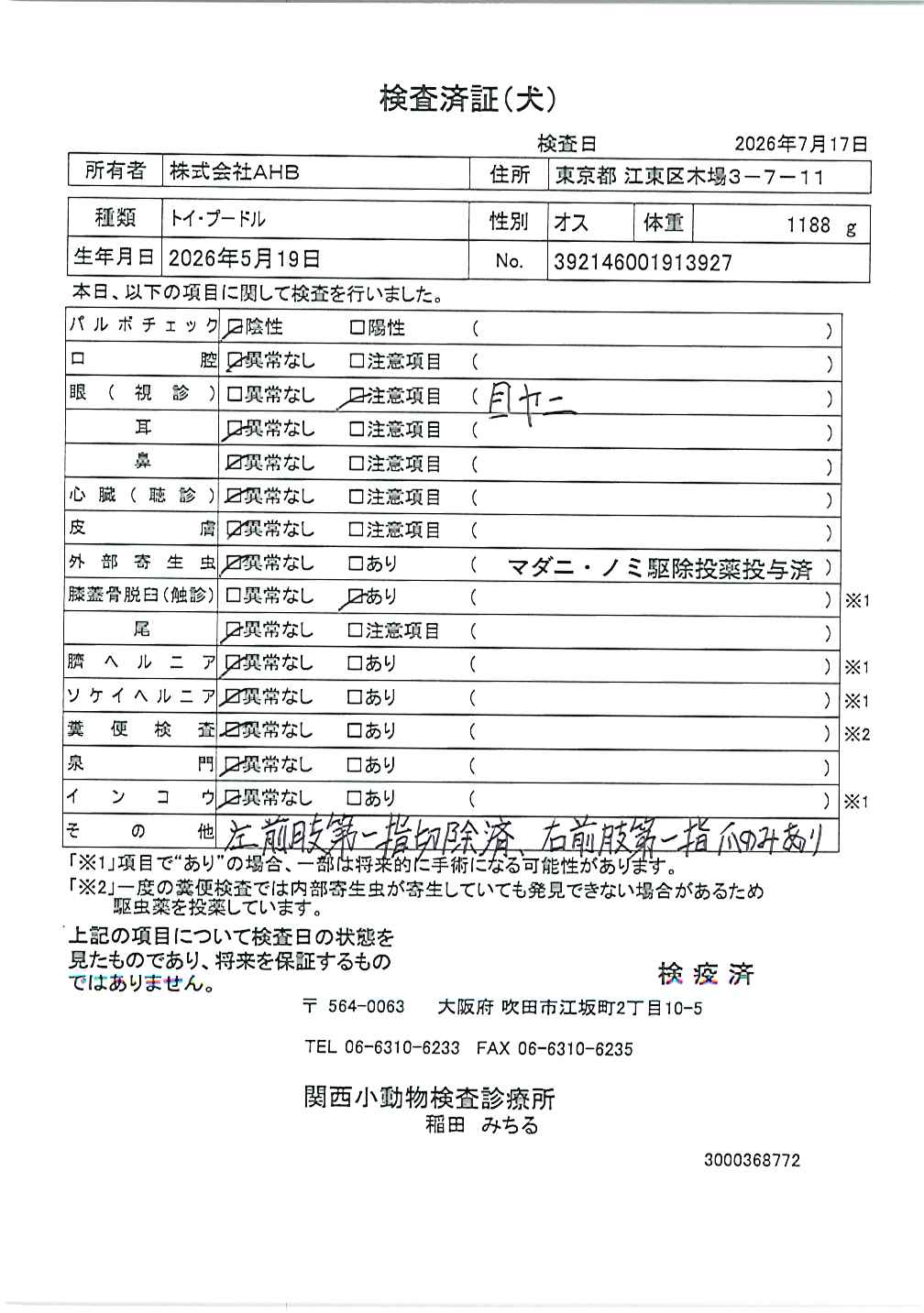 トイ・プードル