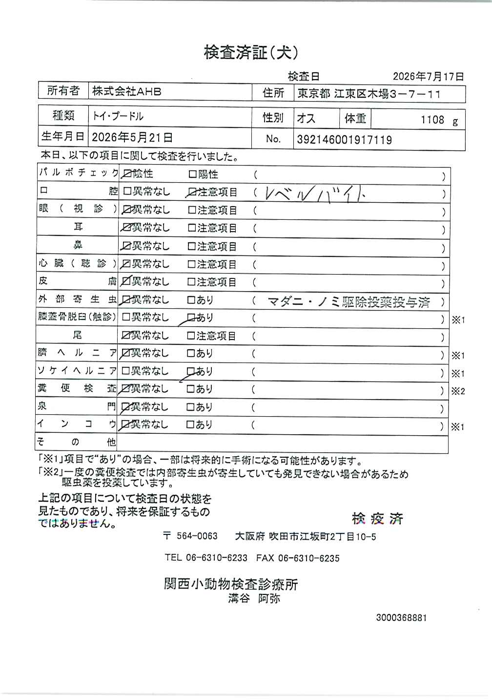トイ・プードル