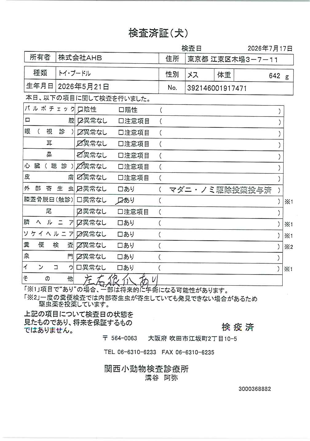 トイ・プードル