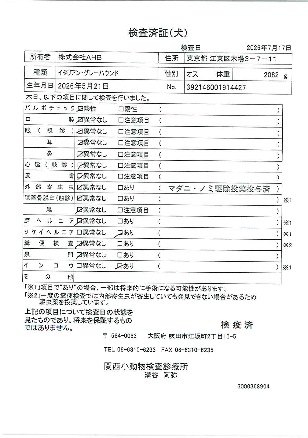 イタリアン・グレーハウンド