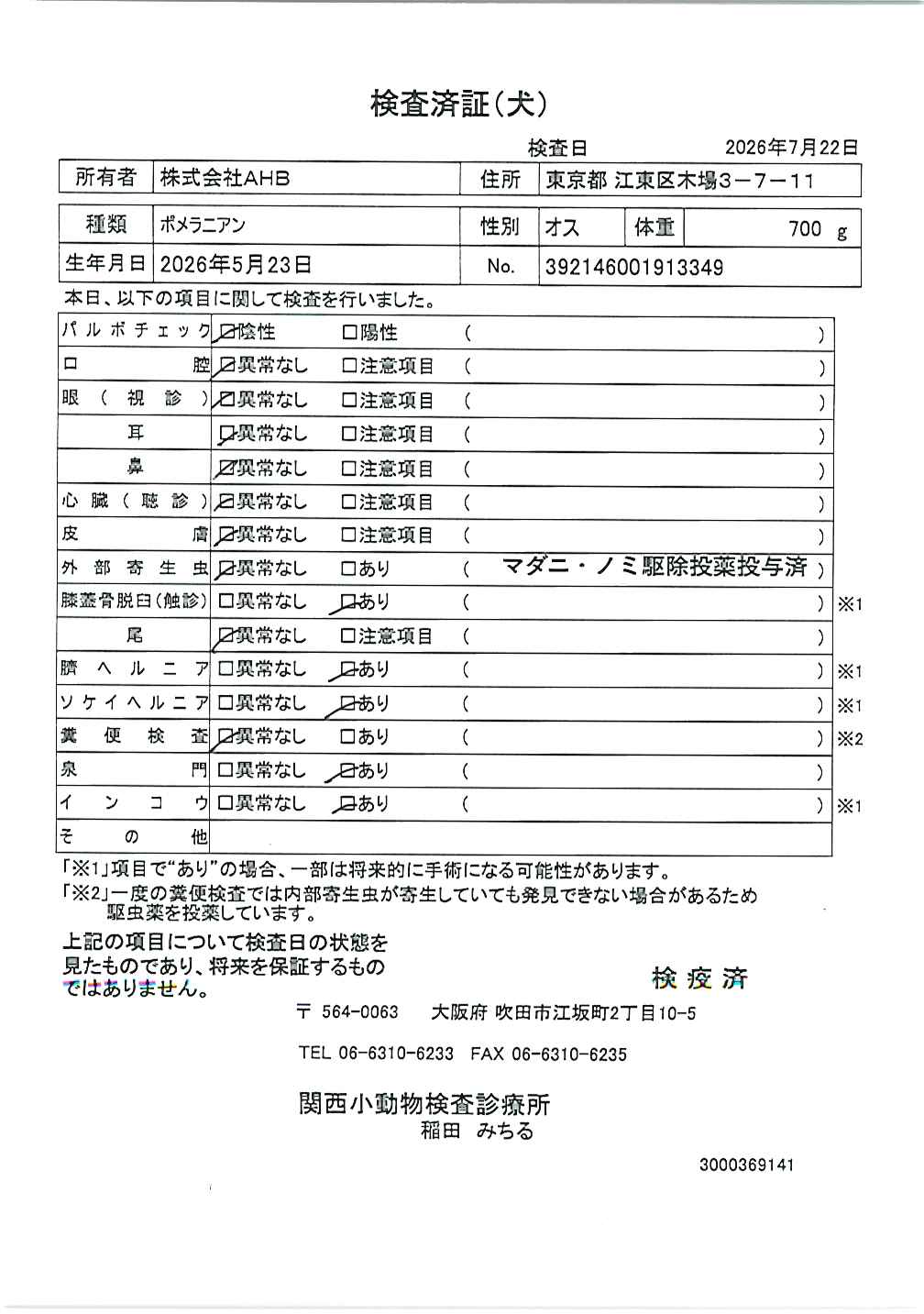 ポメラニアン