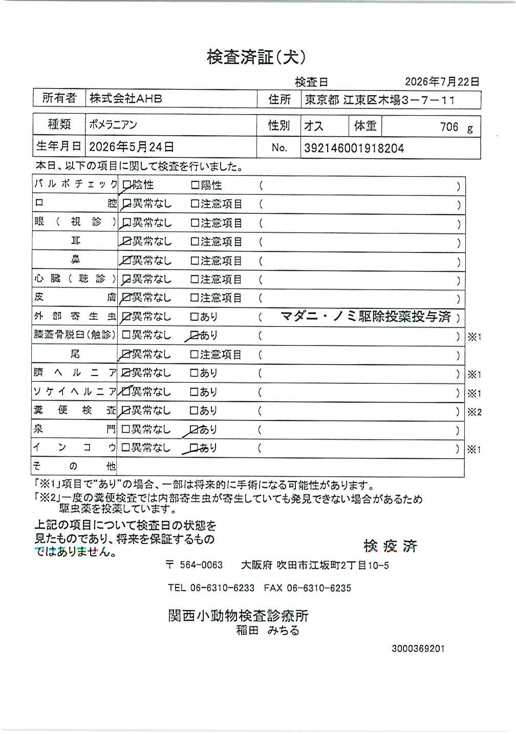 ポメラニアン