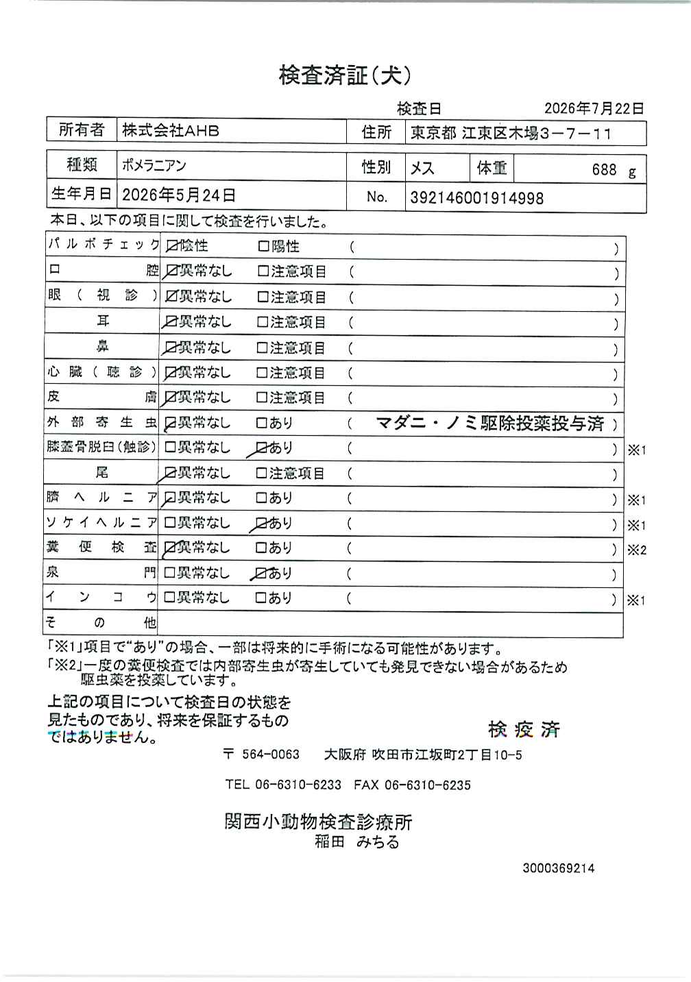 ポメラニアン