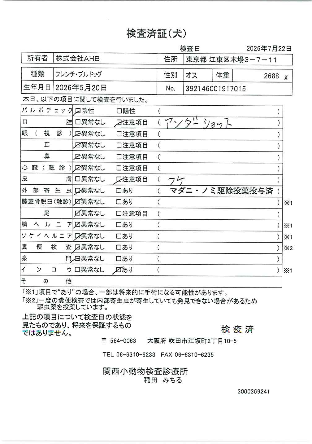 フレンチ・ブルドッグ