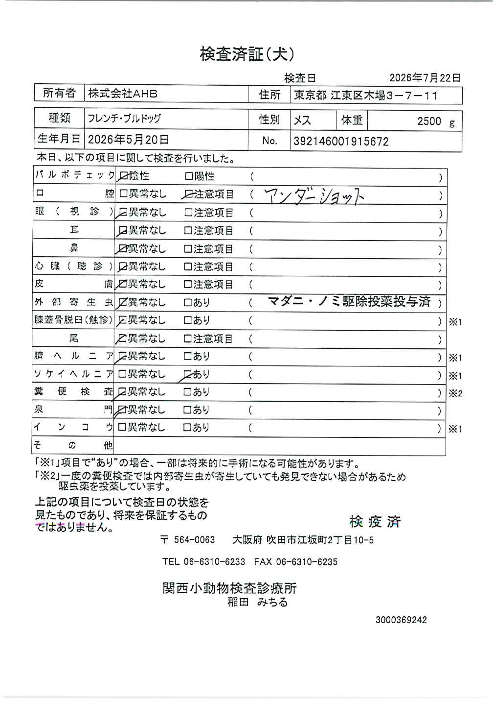 フレンチ・ブルドッグ