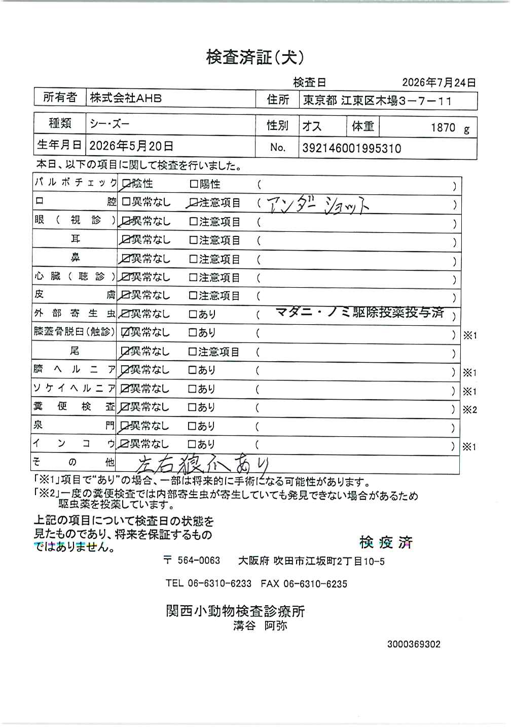 シー・ズー