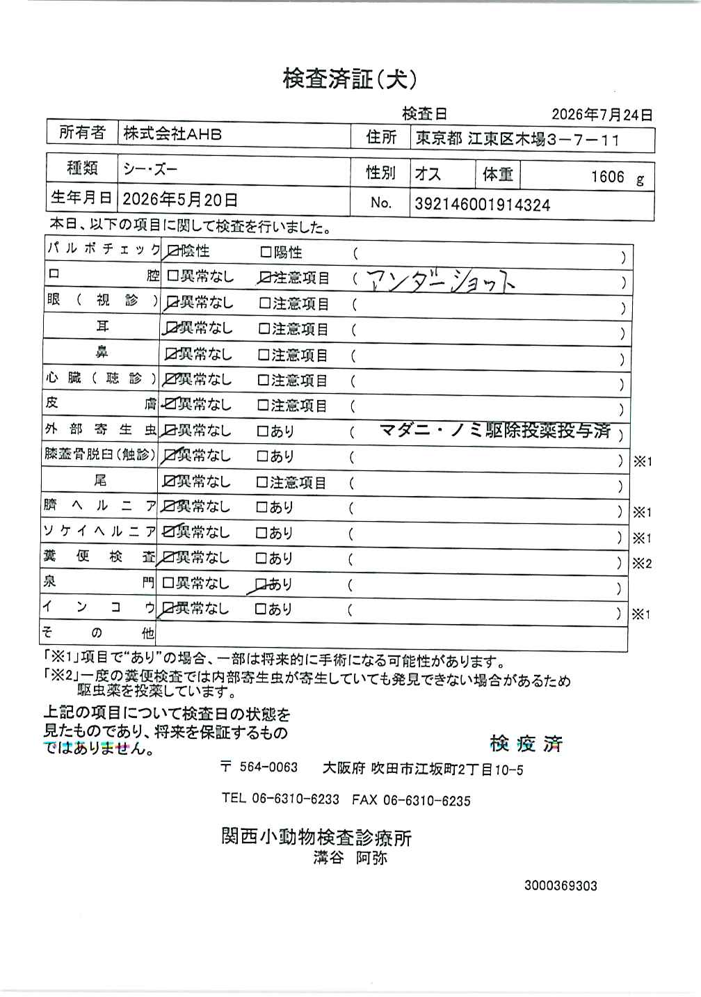 シー・ズー