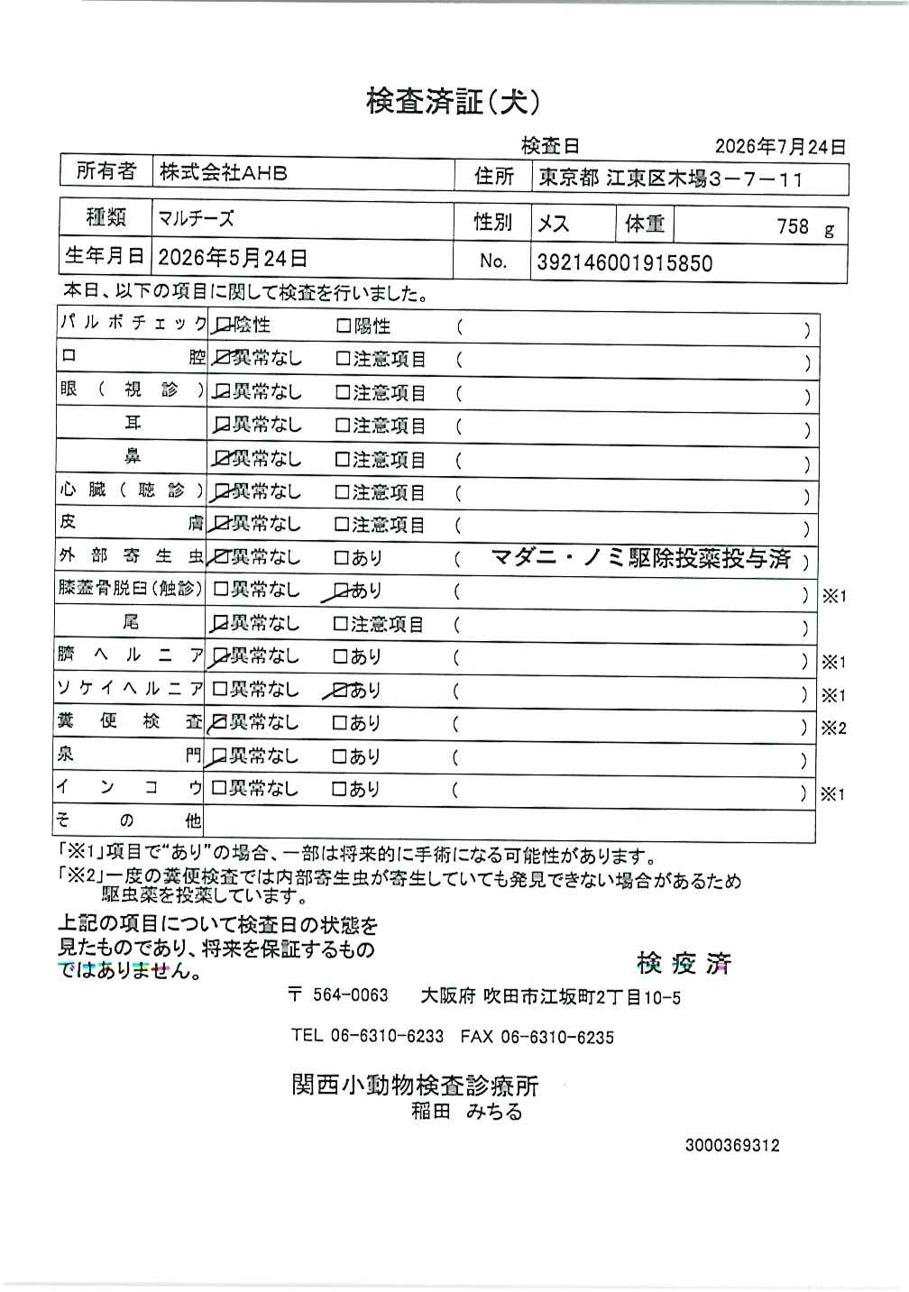 マルチーズ