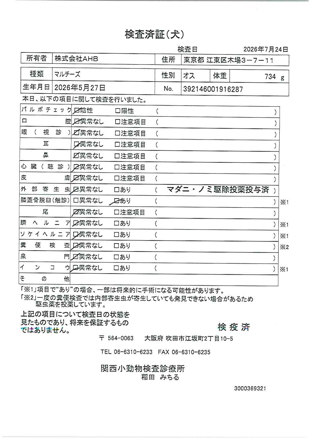 マルチーズ