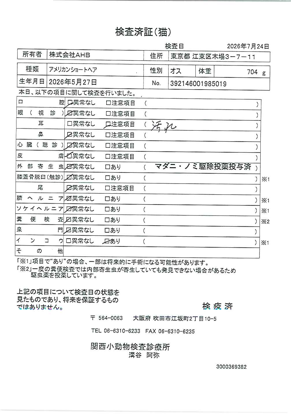 アメリカンショートヘア