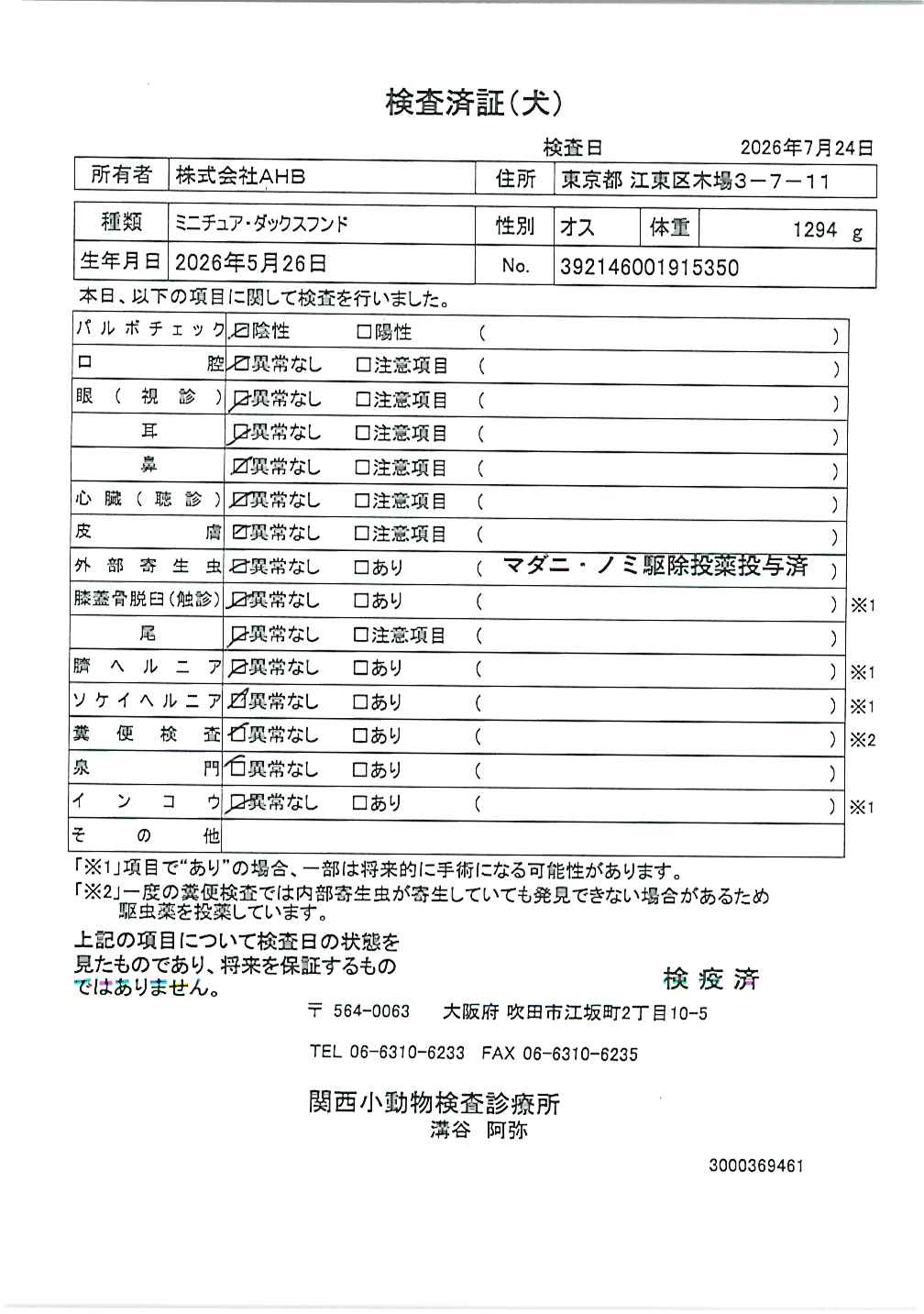ミニチュア・ダックスフンド