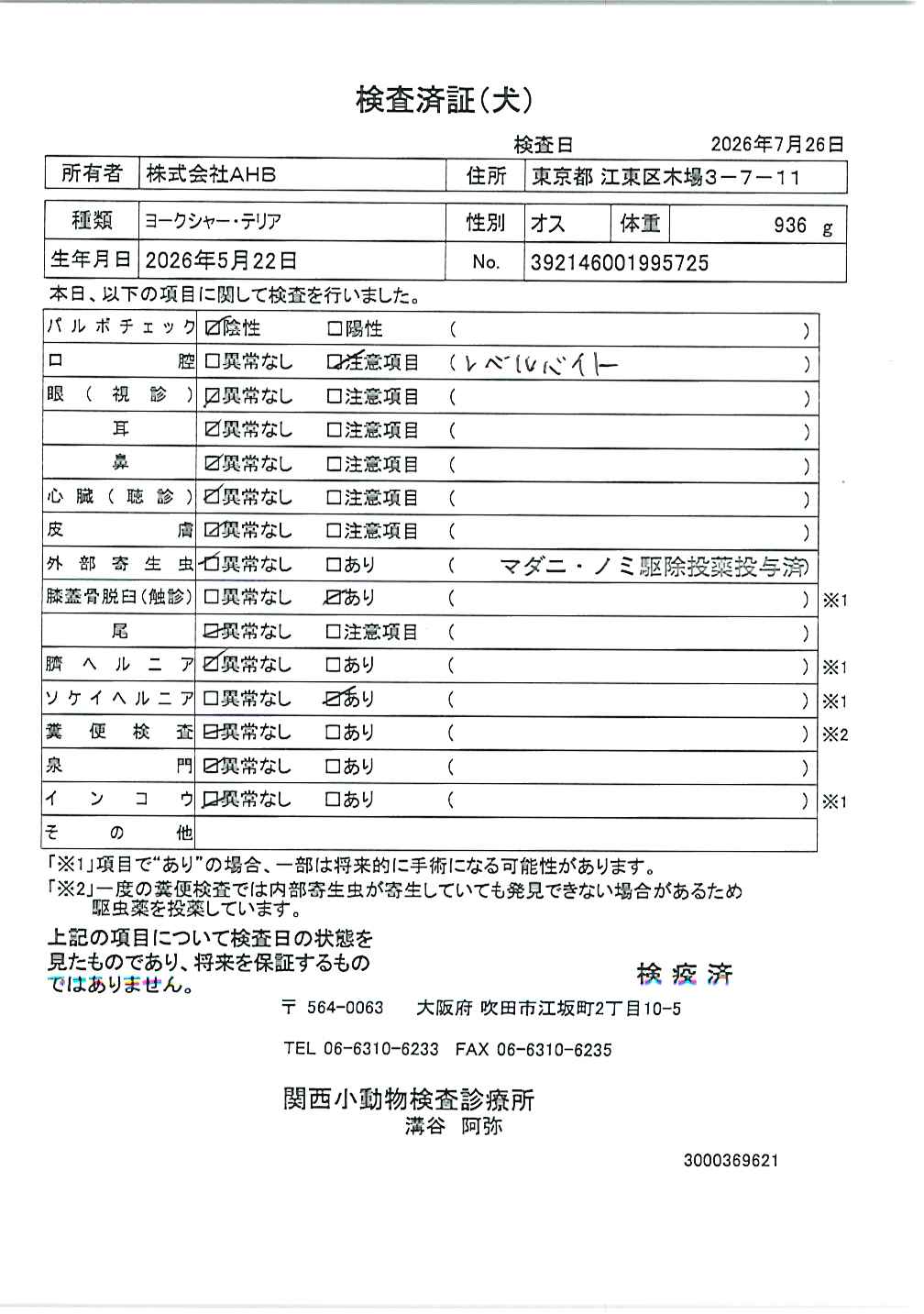 ヨークシャー・テリア