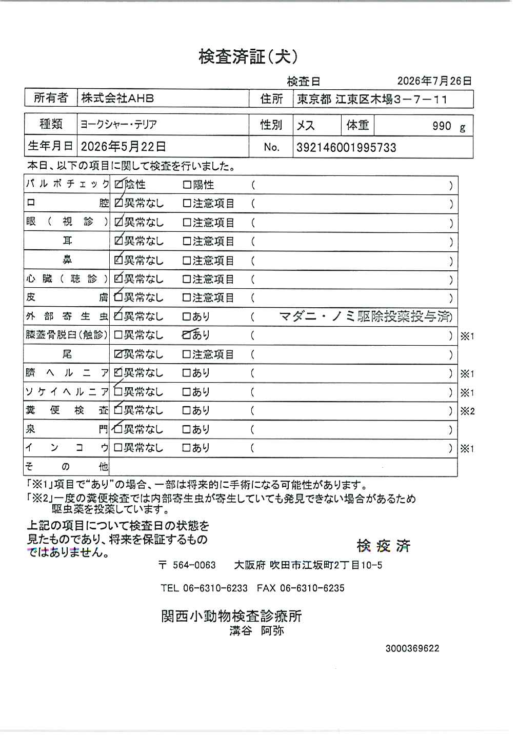 ヨークシャー・テリア