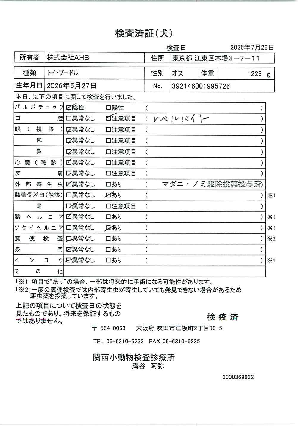 トイ・プードル