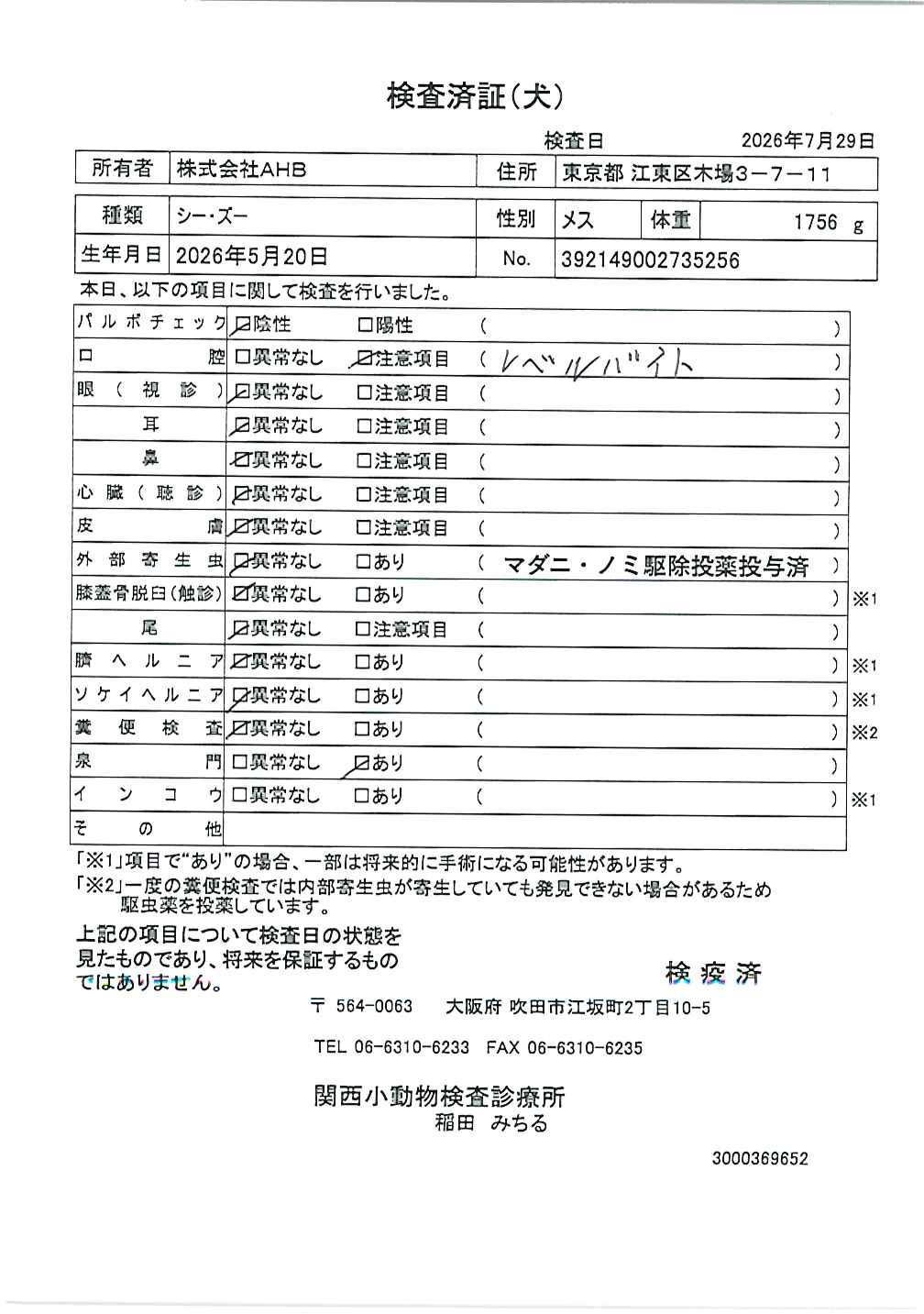 シー・ズー