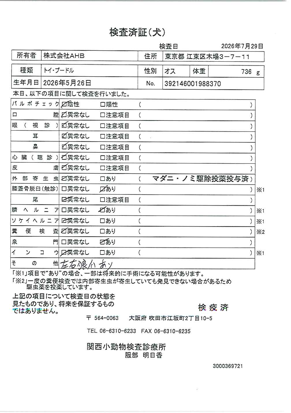 トイ・プードル