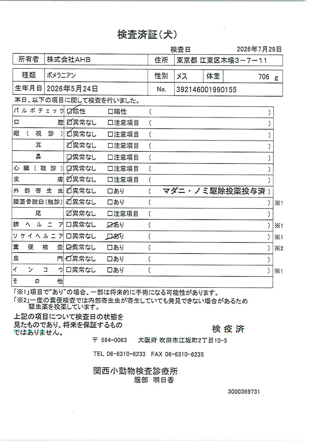 ポメラニアン
