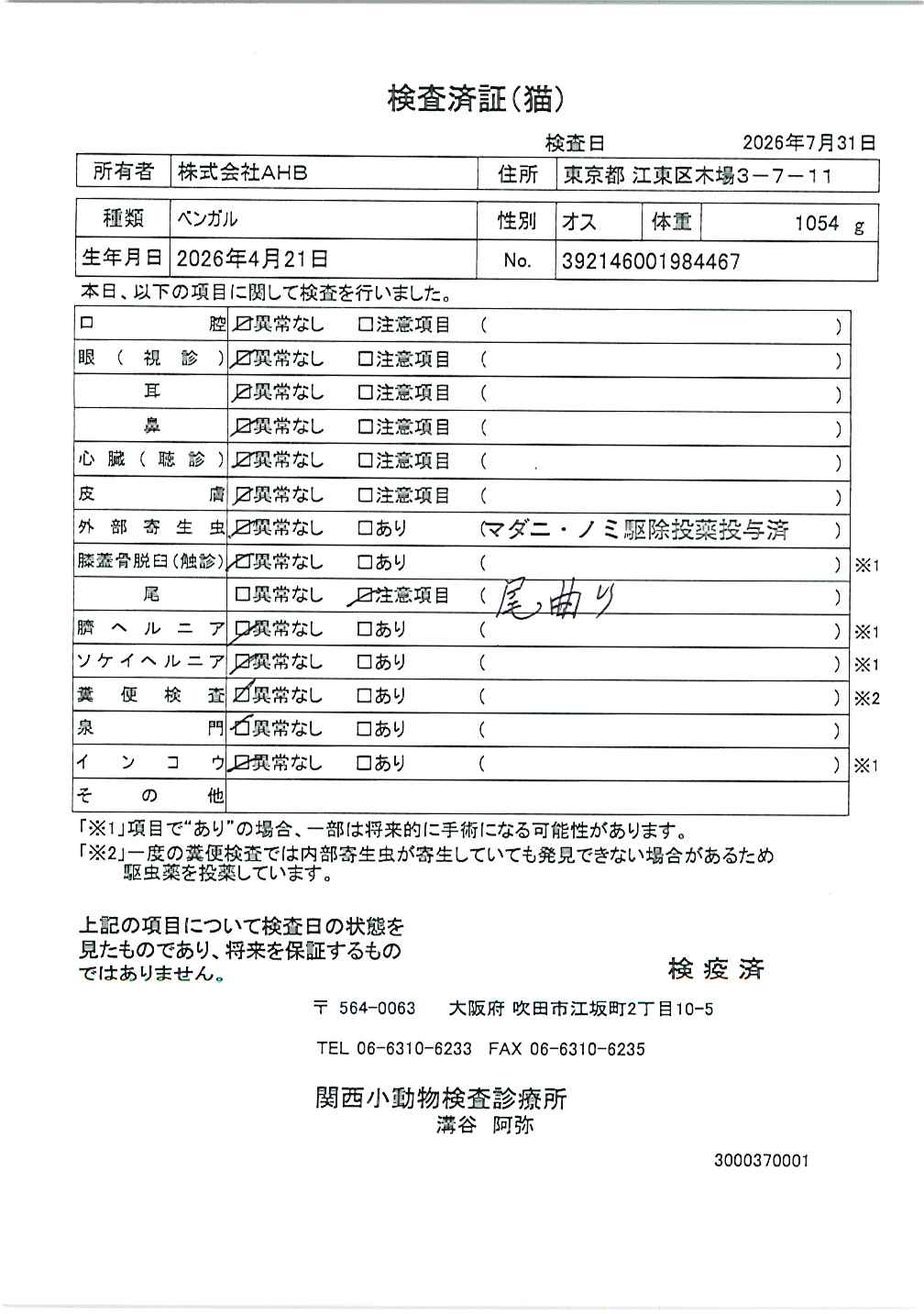 ベンガル