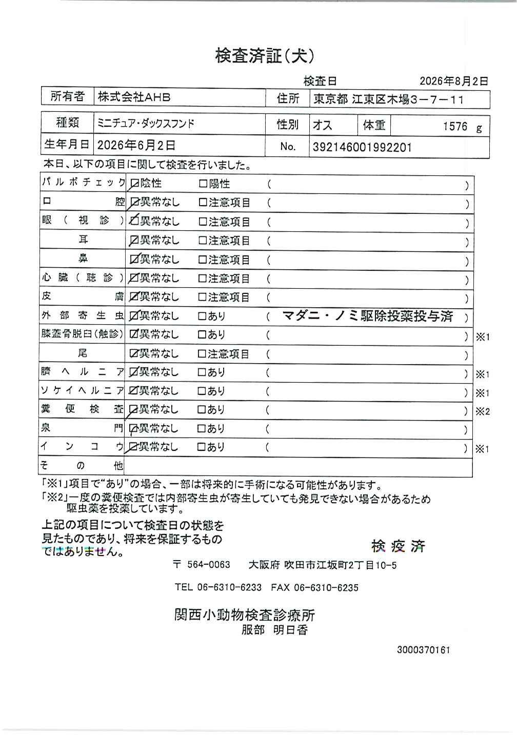 ミニチュア・ダックスフンド