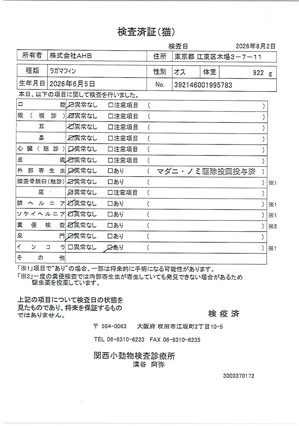 ラガマフィン