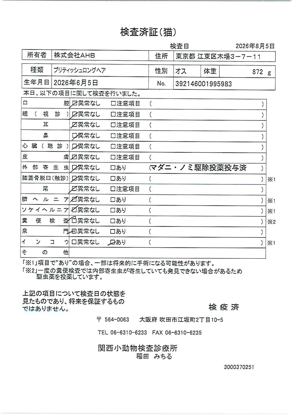 ブリティッシュロングヘア